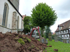 Kanalisierungsarbeiten an St. Crescentius (Foto: Karl-Franz Thiede)